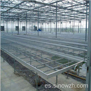 Diseño de invernadero de estructura de acero agrícola
